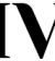 Footer logo